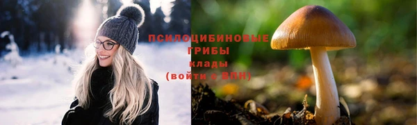 а пвп мука Алексин