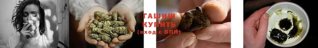jwh Алзамай